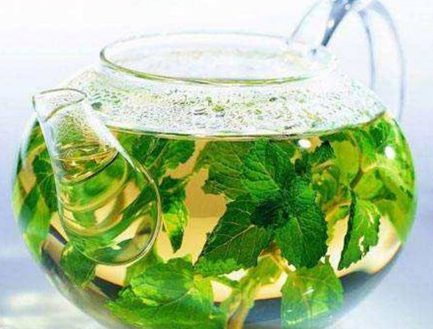 夏季防暑凉茶